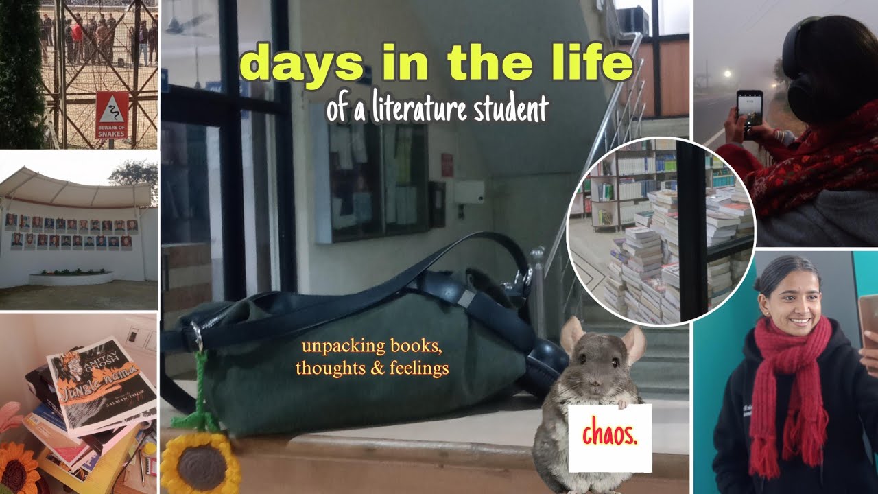 a literature student & her beautiful academic chaos 🌞📚