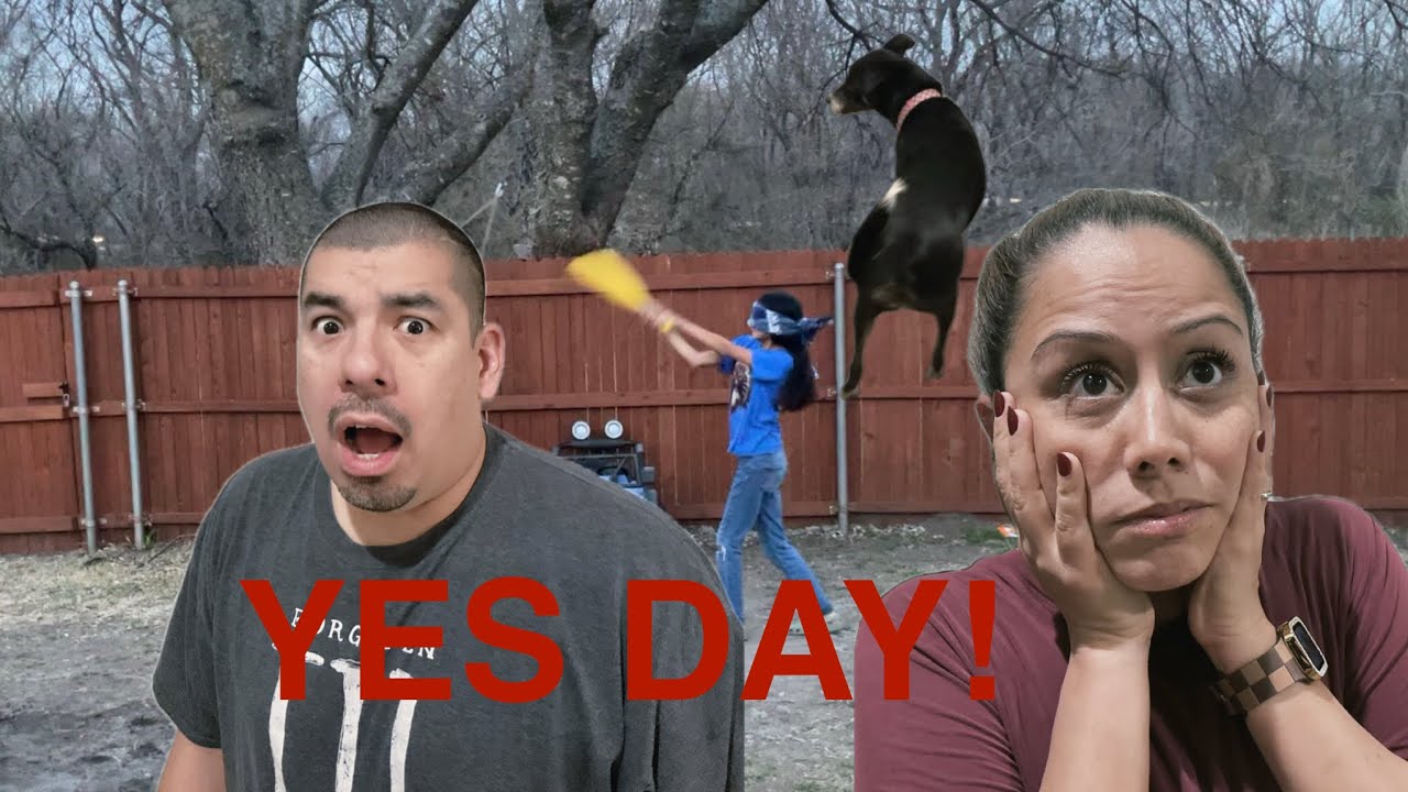 My parents gave me a YES DAY!!!