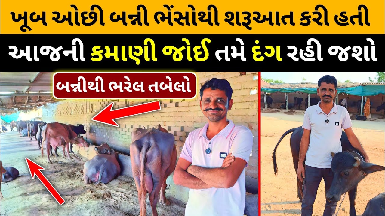 ગઢવી સારા સાહિત્યકાર હોય છે પણ આ રુપ પહેલી વાર જોયુ . અદભુત 😄👌Banni Buffalo farm.