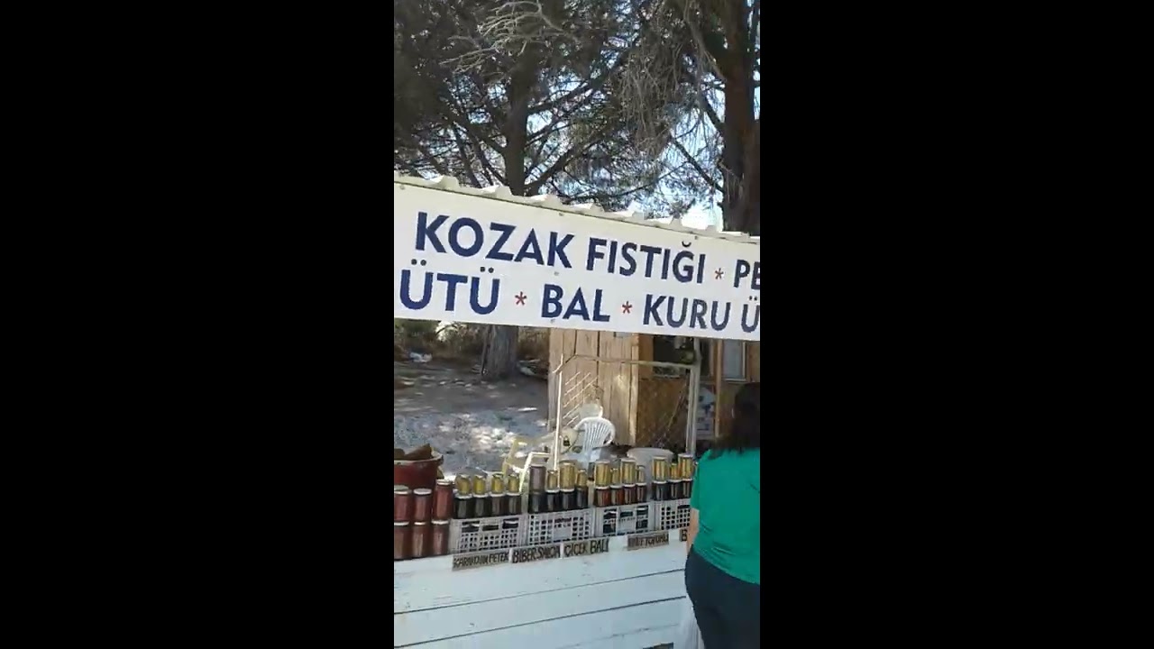 Ayvalık,Bergama ,Kozak Yaylası üzüm bağları