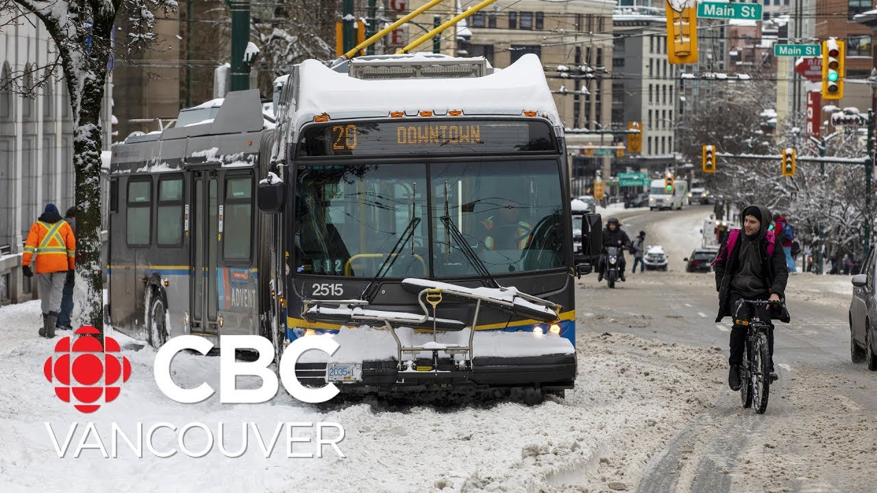 Buses struggle with snow, frozen train doors cause chaos for commuters