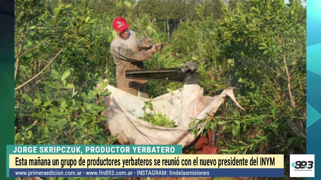 Productores yerbateros se reunieron esta mañana en Posadas  con el nuevo presidente del INYM