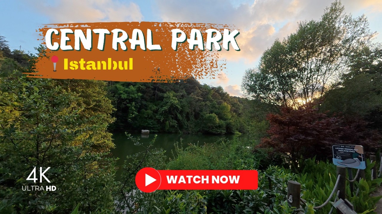 Toy Poodle Walk Through Istanbul’s Hidden Green Paradise | Tarabya Nature Walk