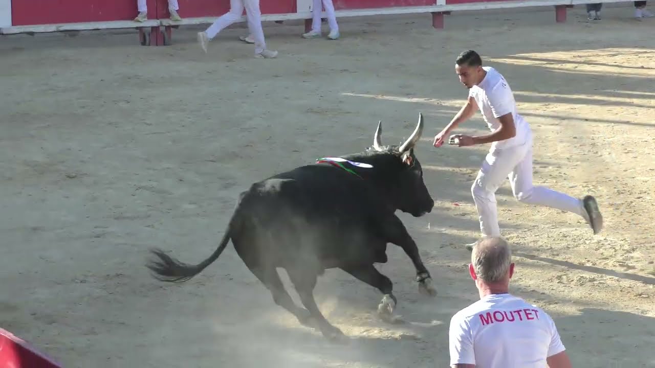 ST REMY DE PROVENCE (30/09/2025) - Le résumé de la course