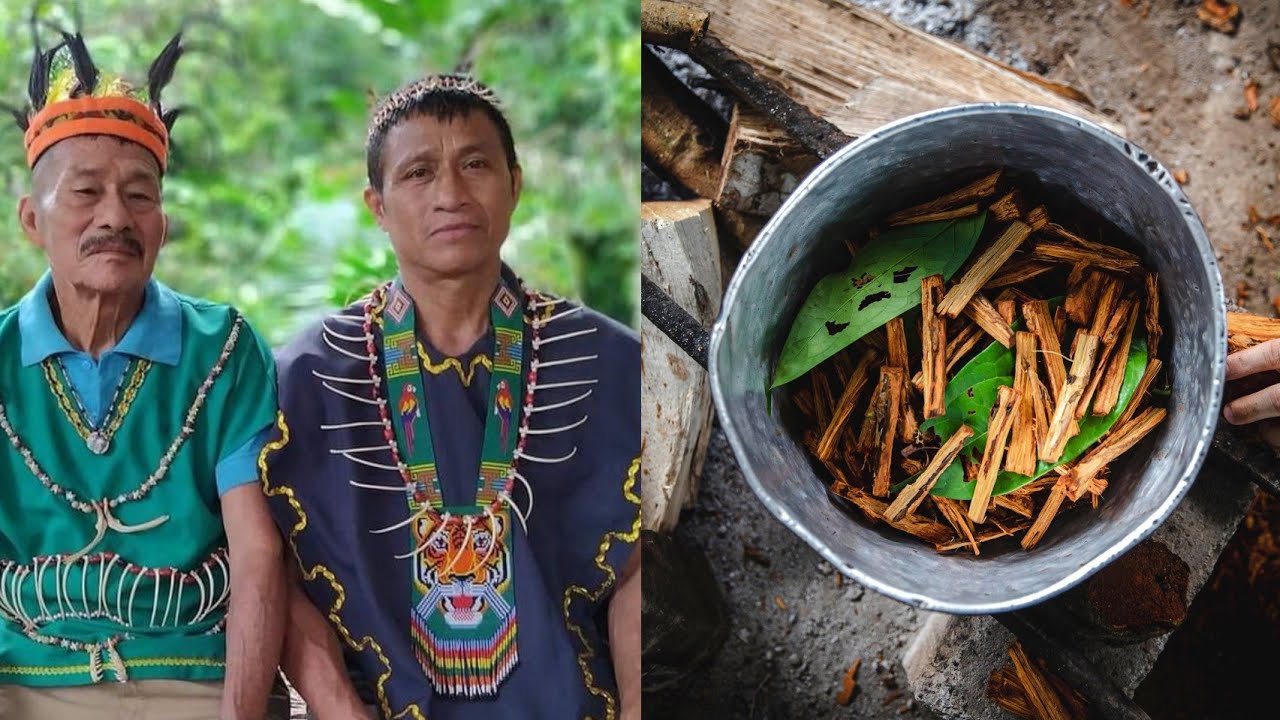 El Shaman & El Ayahuasca | Tradición de Indígenas Kichwas en la Amazonía Ecuatoriana