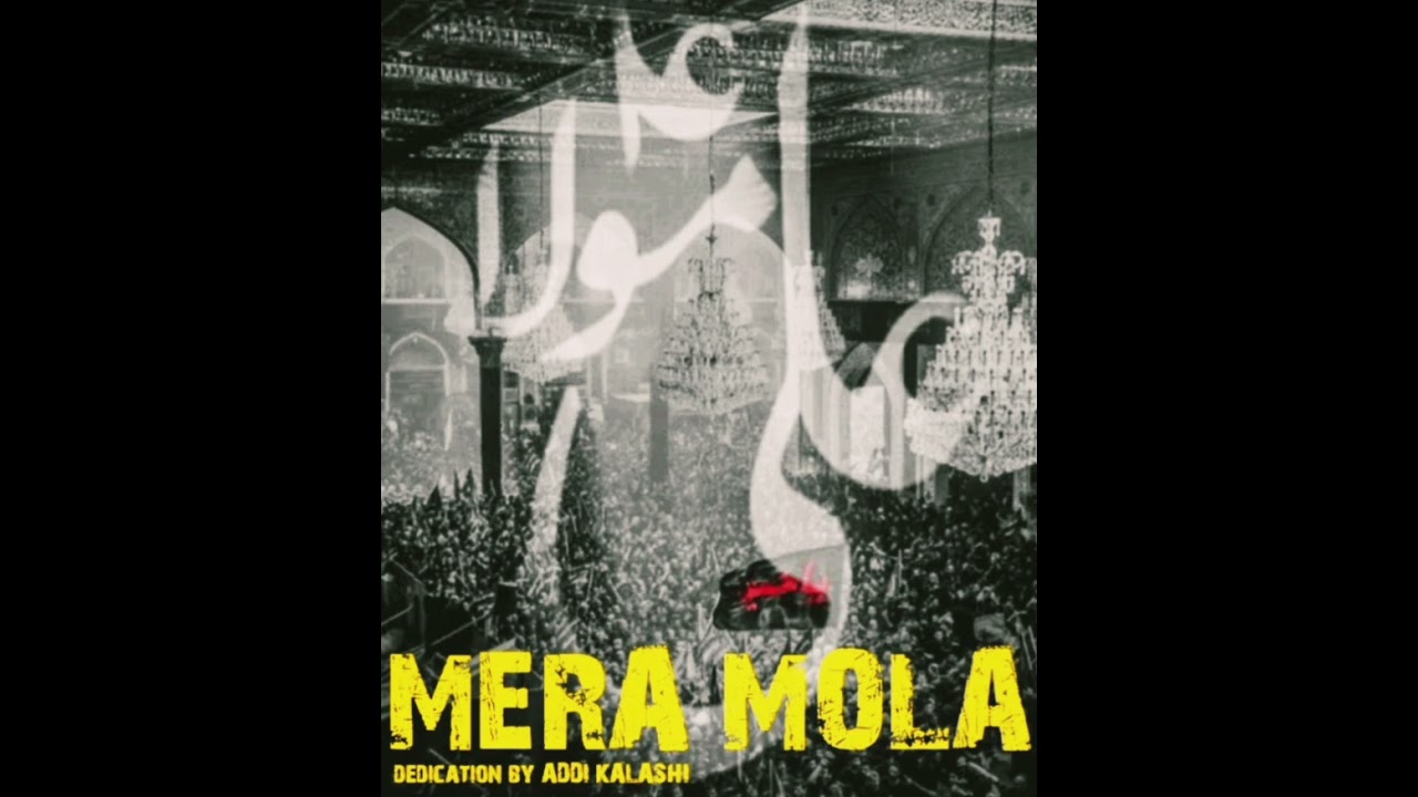 #ali #momin #shiaislam #shia #shiastatus #ahlulbait #ahlulbayt #ahlulbaythour#nohay#noha #nohastatus