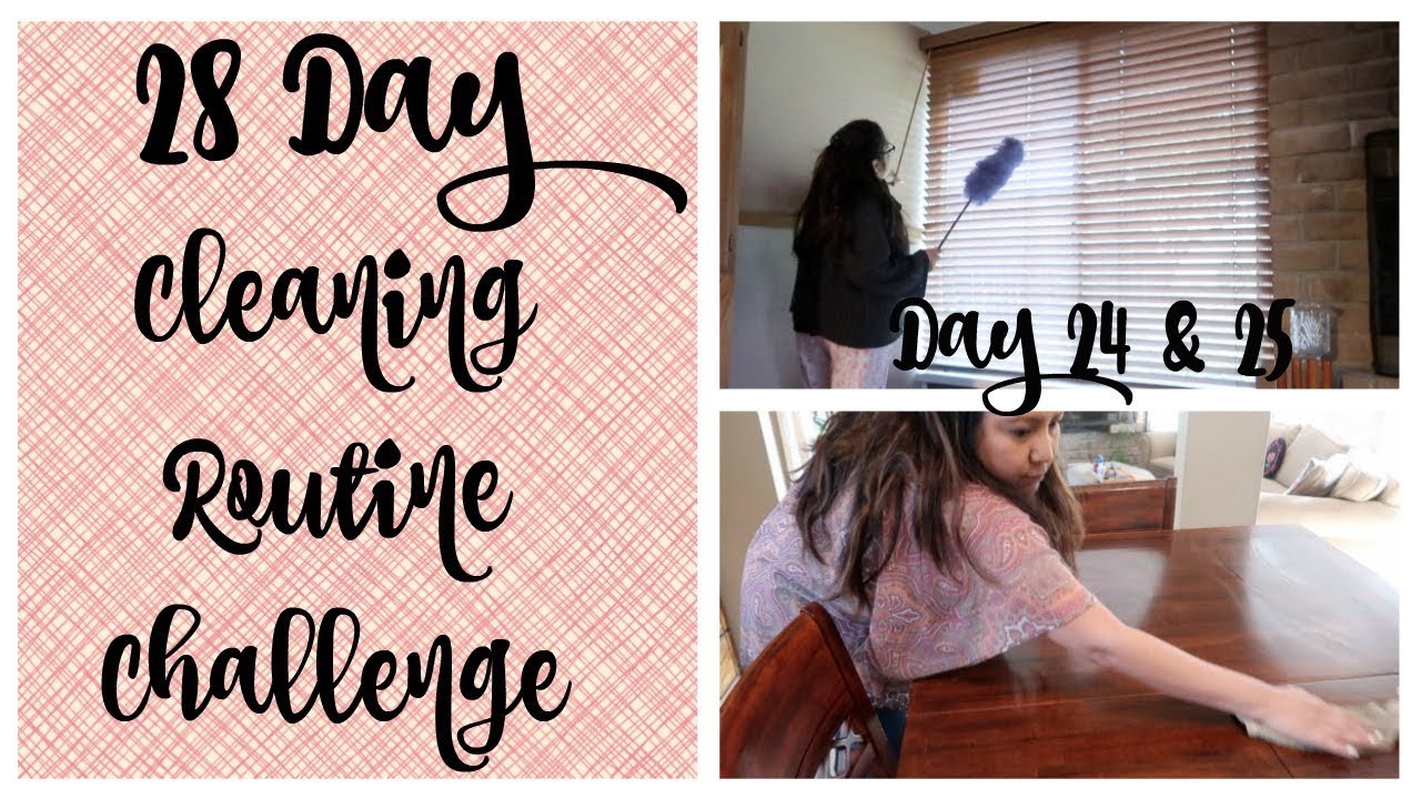 28 Day Cleaning Routine Challenge Days 24 AND 25