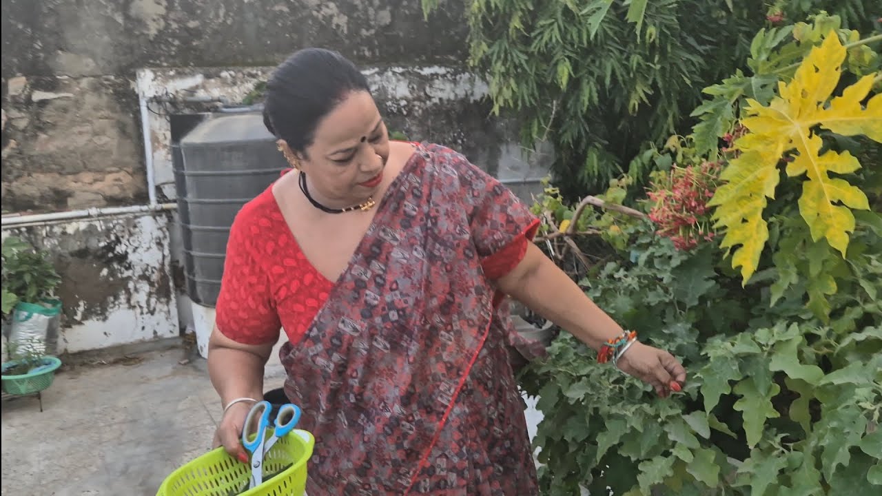 बची हुई चीज़ों से भी पौधे उगाऐ। 3rd video