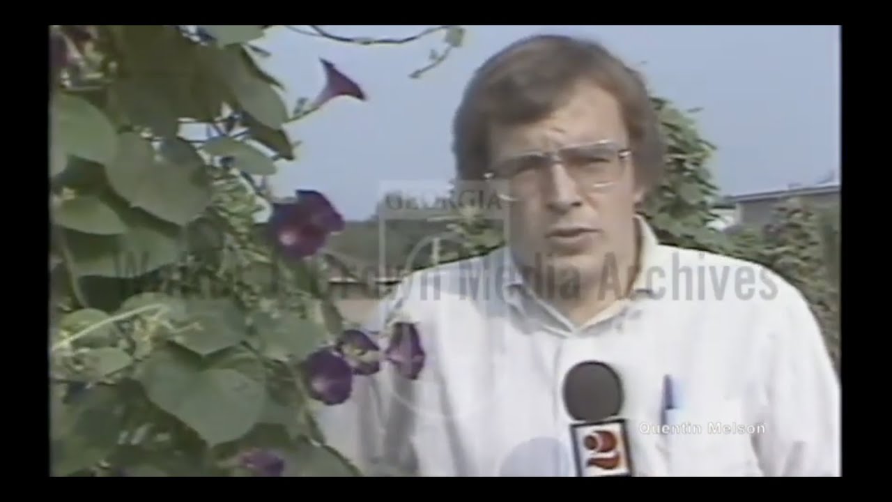 The Morning Glory Nuisance (August 13, 1981)
