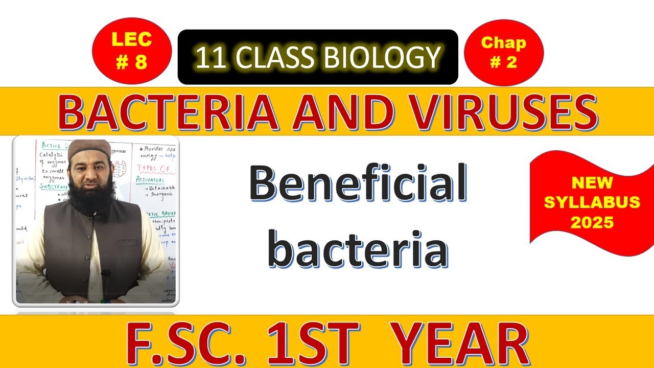 Importance of bacteria | BACTERIA AND VIRUSES | Chapter 2| F.Sc. 1st Year Biology | L# 8