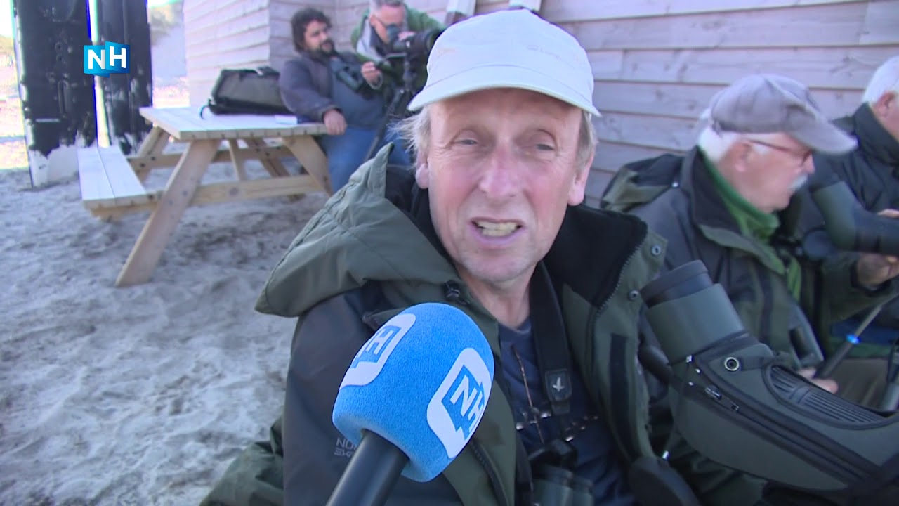 Vogelaars leggen imposante bultrug-walvis vast op camera: 