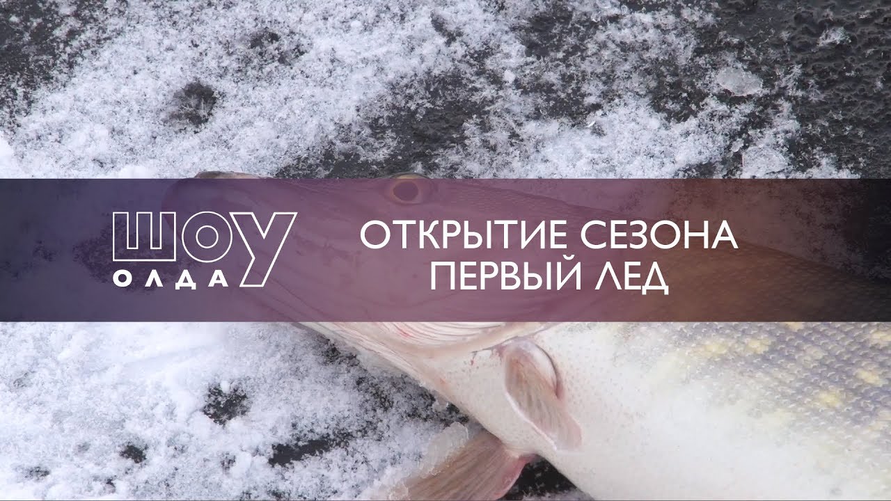 Открытие Сезона. Первый Лед  | ШоУолда №74