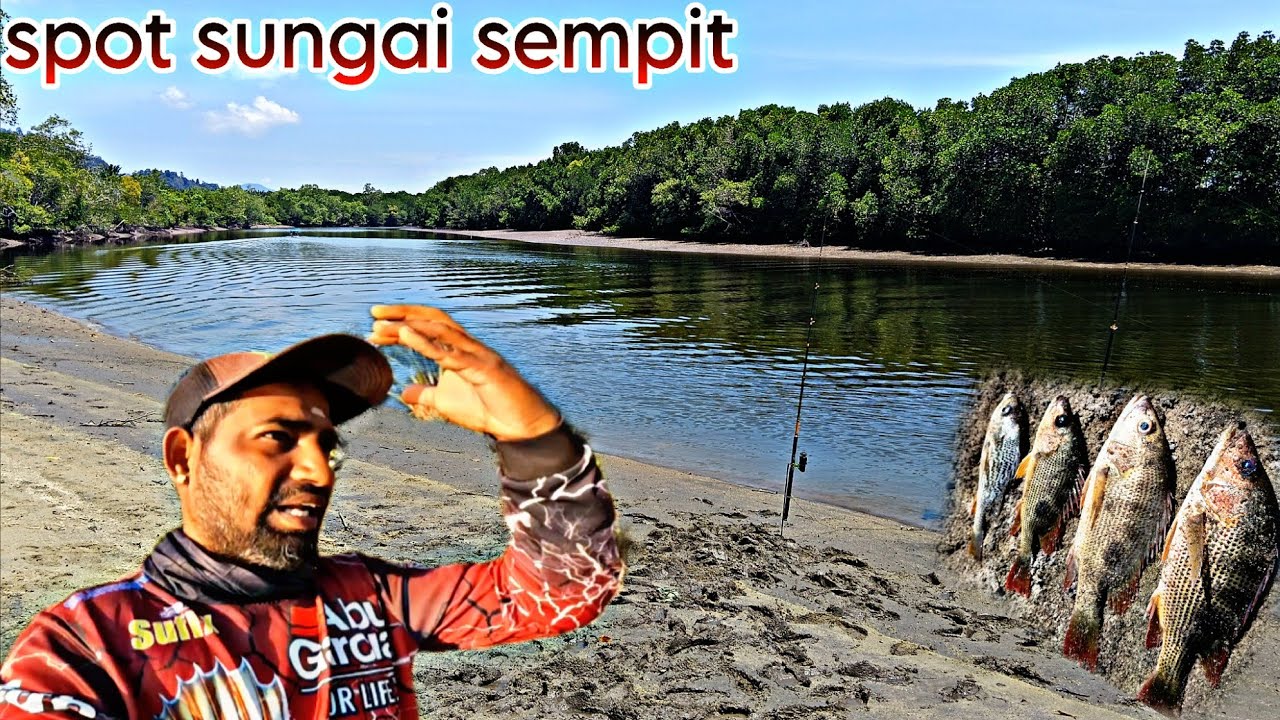 #335 spot sungai sempit teluk senangin guys..🎣🎣 