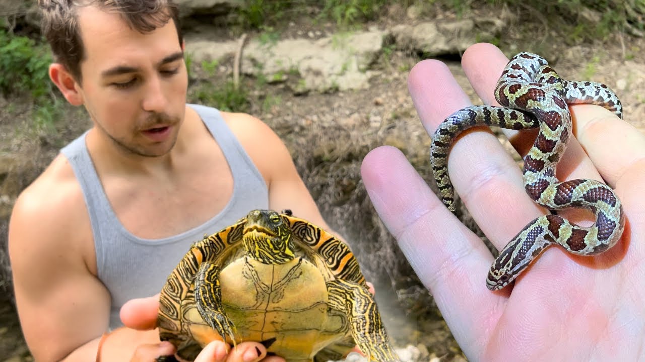 Can we find SNAKES in Oklahoma!? Midwest Herping Expedition