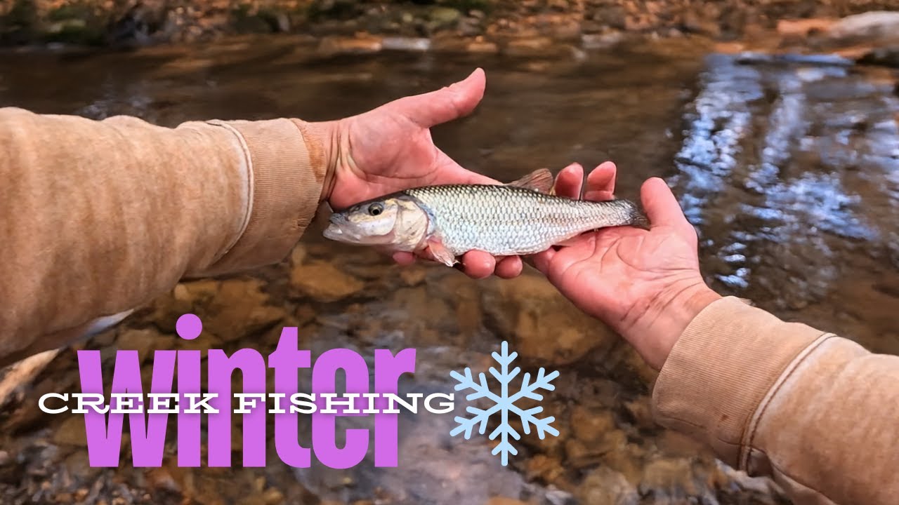 Winter Creek Fishing w/@heartsonfishing Found the Motherload!