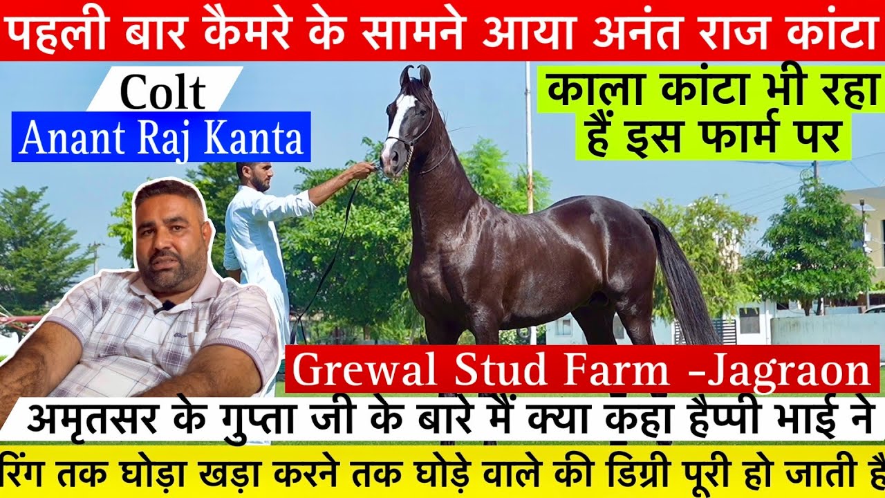 पहली बार आया कैमरे के सामने हैप्पी ग्रेवाल जी का काले कांटे का बच्चा अनंत राज कांटा !