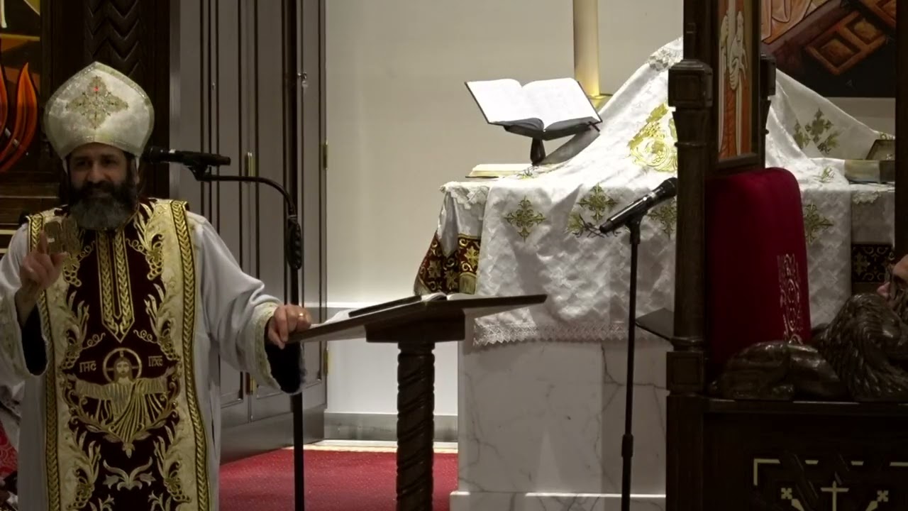 Прекратите довольствоваться свининой