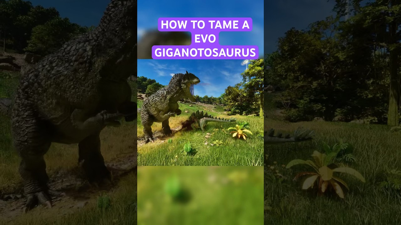 The  EVO GIGANOTOSAURUS is a BEAST! #arksurvivalascended #ark #giganotosaurus