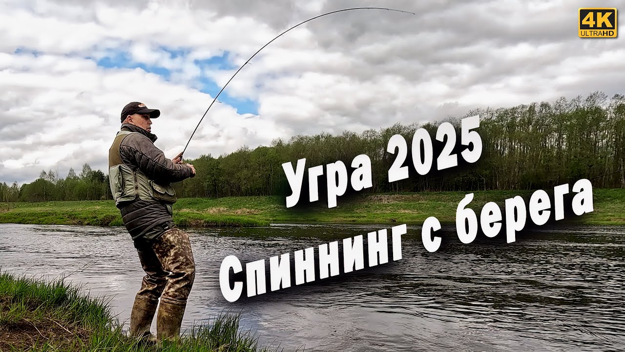Река Угра. Рыбалка на спиннинг с берега 2025