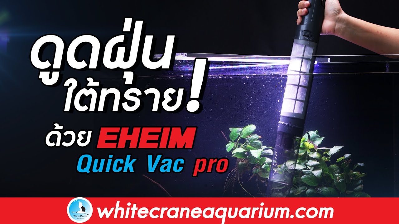 ทำความสะอาดพื้นตู้ปลาง่ายๆ ด้วย &ldquo;EHEIM Quick Vac Pro 