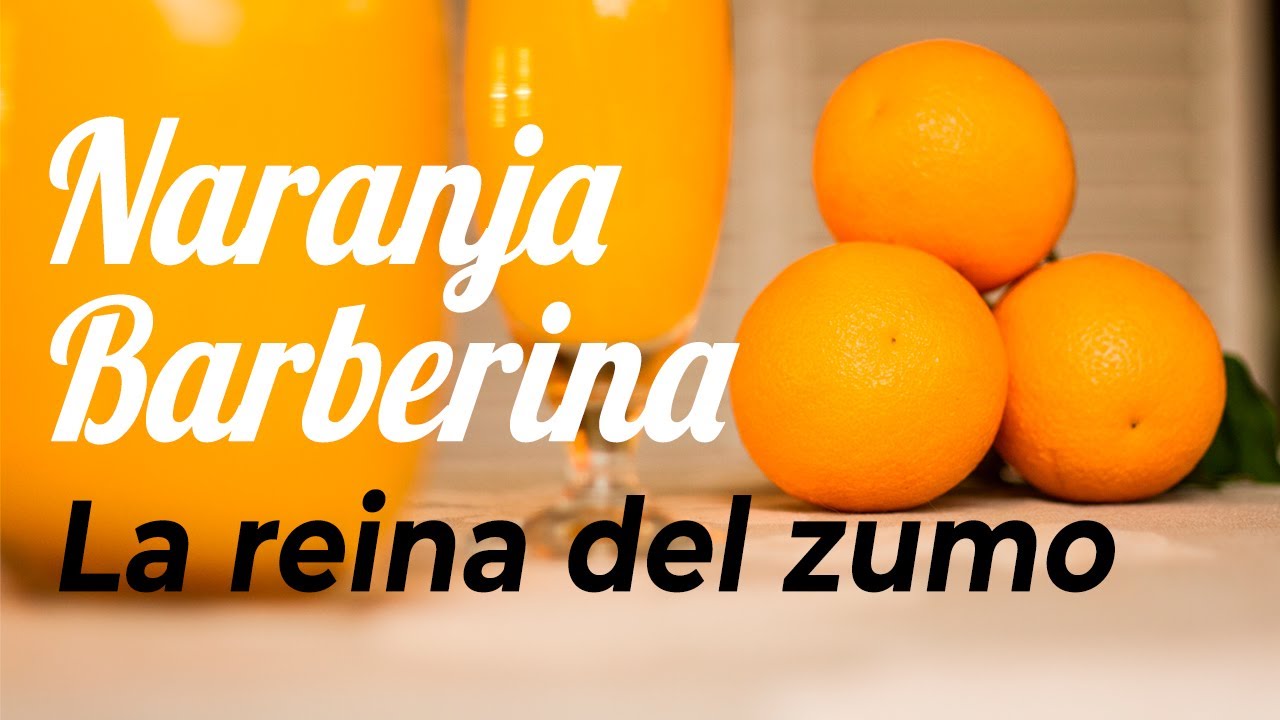BARBERINA 2022
