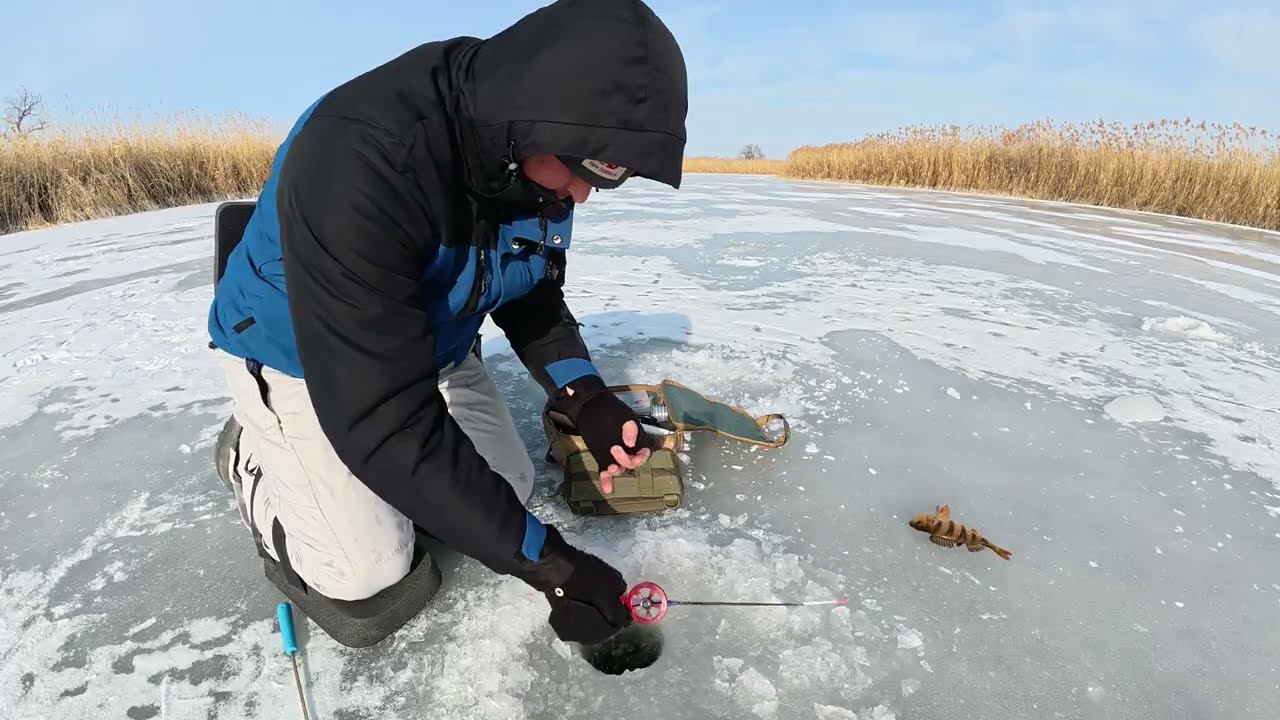 ⚠️ ⚠️ЖЕРЛИЦІ, КИВОК , МОРМИШКА⚠️⚠️. Ловля окуня . Зимова риболовля . Ловля щуки