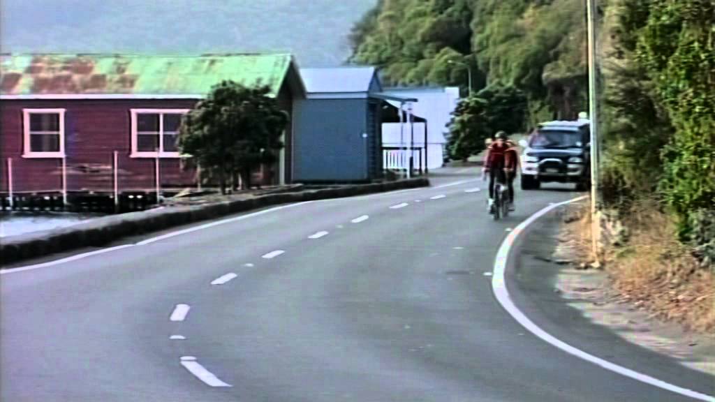 Traffic delays stall motorists along Otago Peninsula