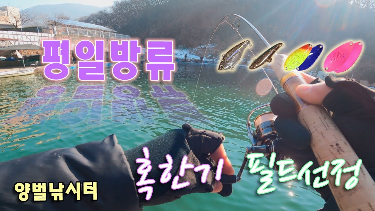 [송어낚시]어딜가도 힘든시기!! 그래도... #송어 #양벌낚시터