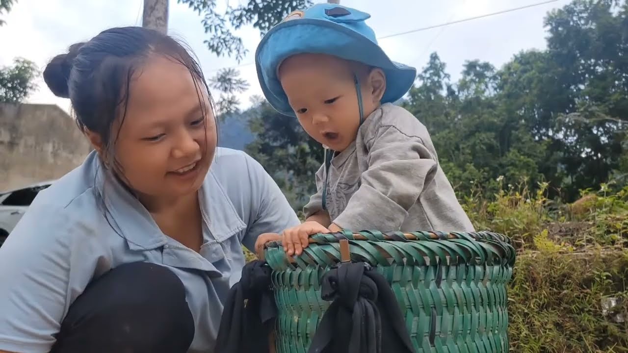 The journey of a single mother building her dream home, harvest and sell fruit | Đặng Thị Thủy