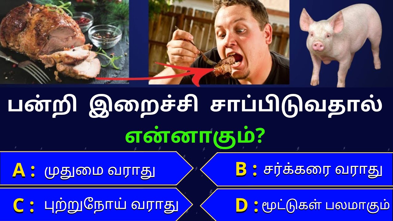 Interesting Questions In Tamil || Episode-317 || gk || by Mini GK Key || Unknown Facts || Tamil Quiz