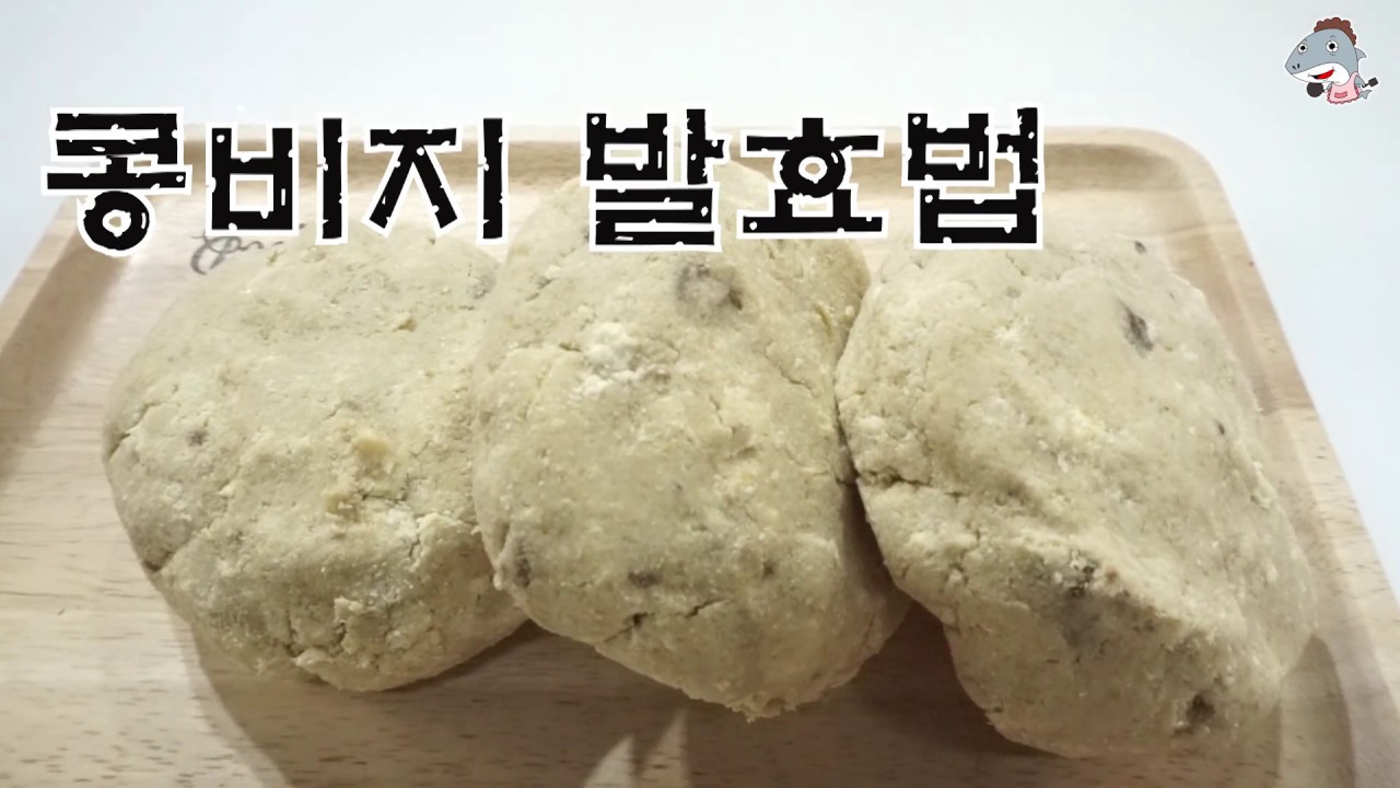 #콩비지발효       두부만들고 남은 콩비지 발효하기/NO발효기/NO지푸라기 [상어이모.SANGEOIMO]