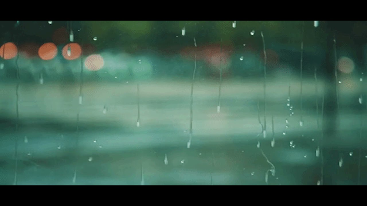 Autmn Rain Ambience No Copyright #rain #ambience