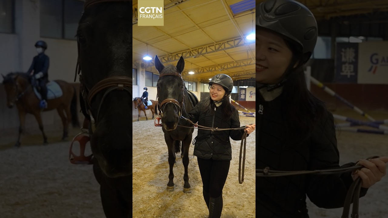 De l'équicoaching à l'équitation, à la découverte du lien unique entre l'homme et le cheval