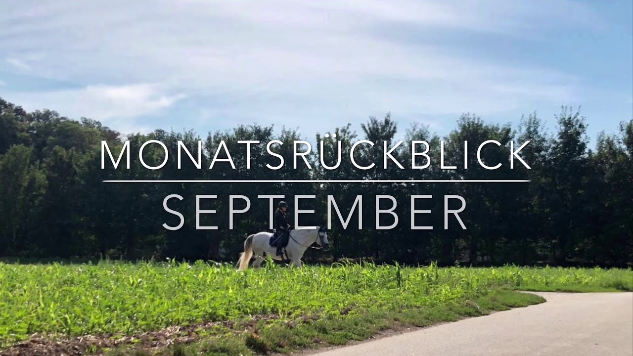 Monatsrückblick September 2020 - Dressurausbildung Gianina Koch