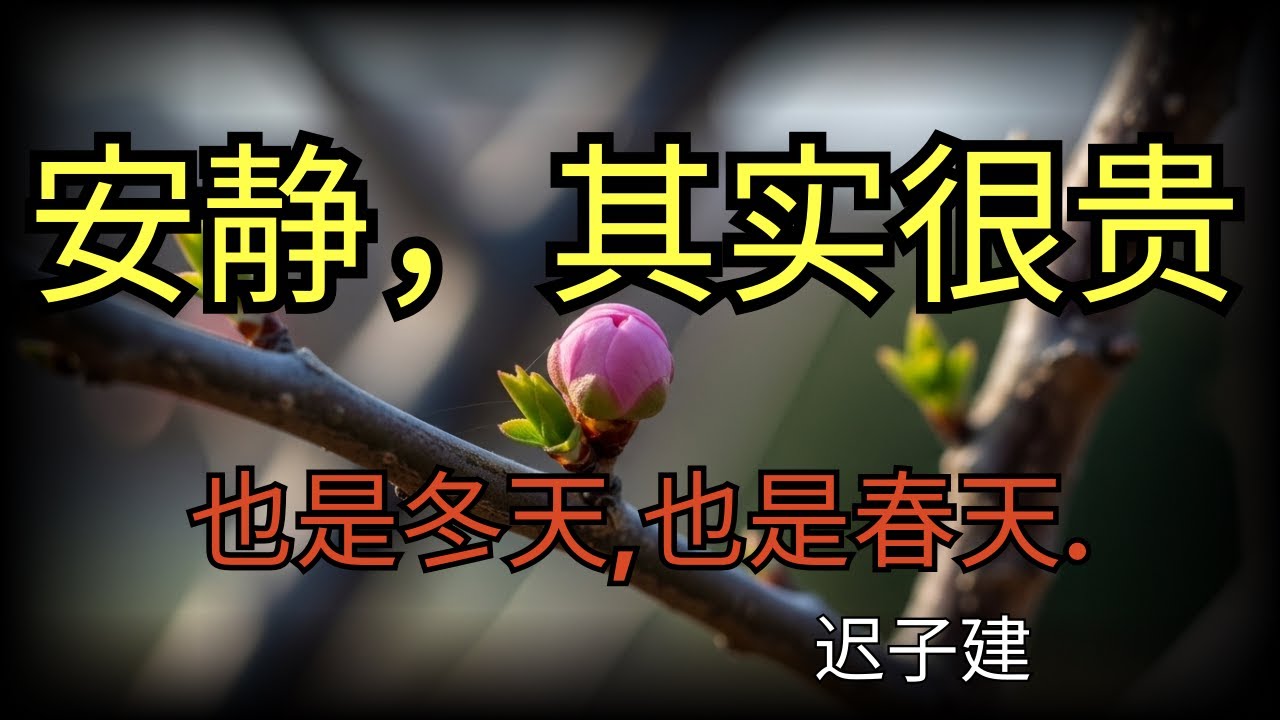 很多春天,本来就开在安静里