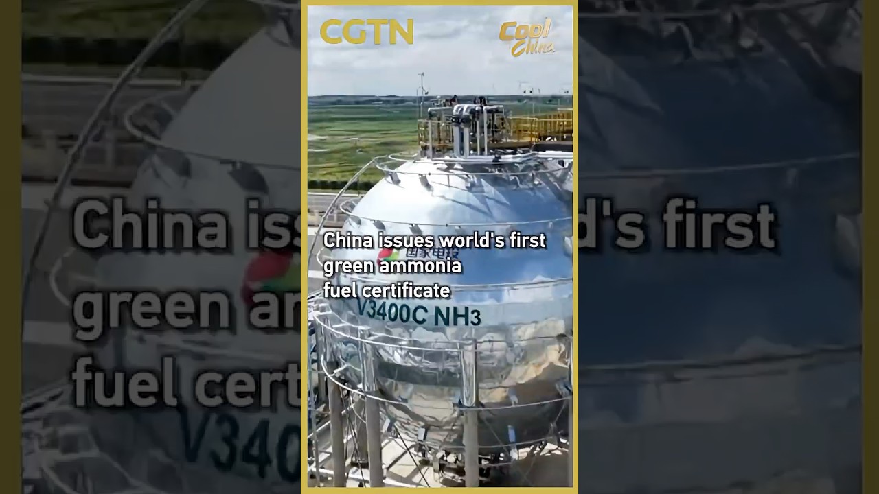 China issues world's first green ammonia fuel certificate