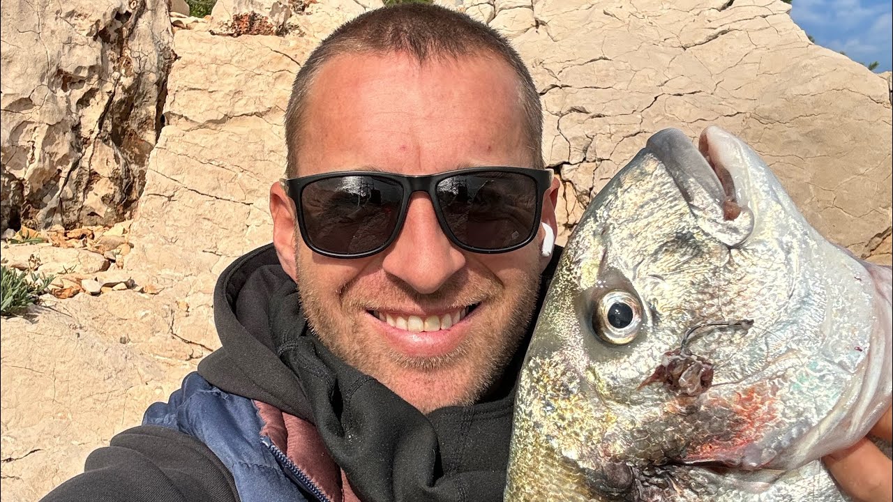 Velika komarca 2,5kg 