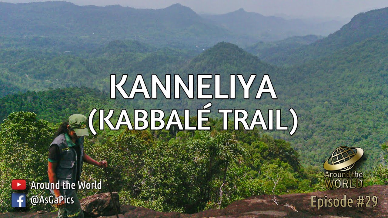🇱🇰 Kanneliya (Kabbalé Trail), Sri Lanka. | කන්නෙලිය (කබ්බලේ මං පෙත)