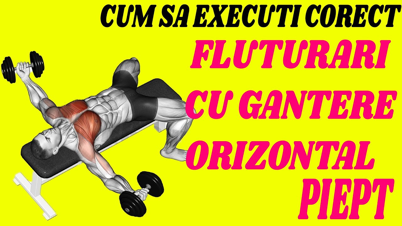 Fluturari pe plan orizontal piept - Cum sa executi corect !