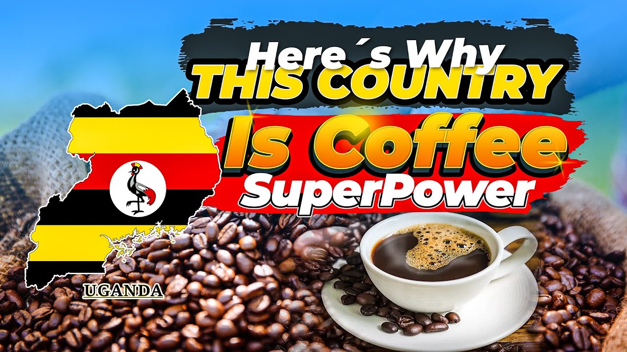 Why This Country Is a Coffee Superpower?