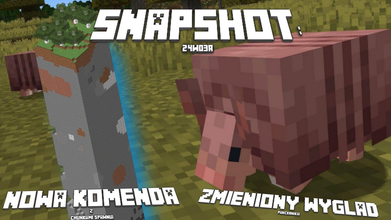 Minecraft SNAPSHOT 24w03a: ZMIENIONY WYGLĄD PANCERNIKA, NOWA KOMENDA Z CHUNKAMI I INNE!