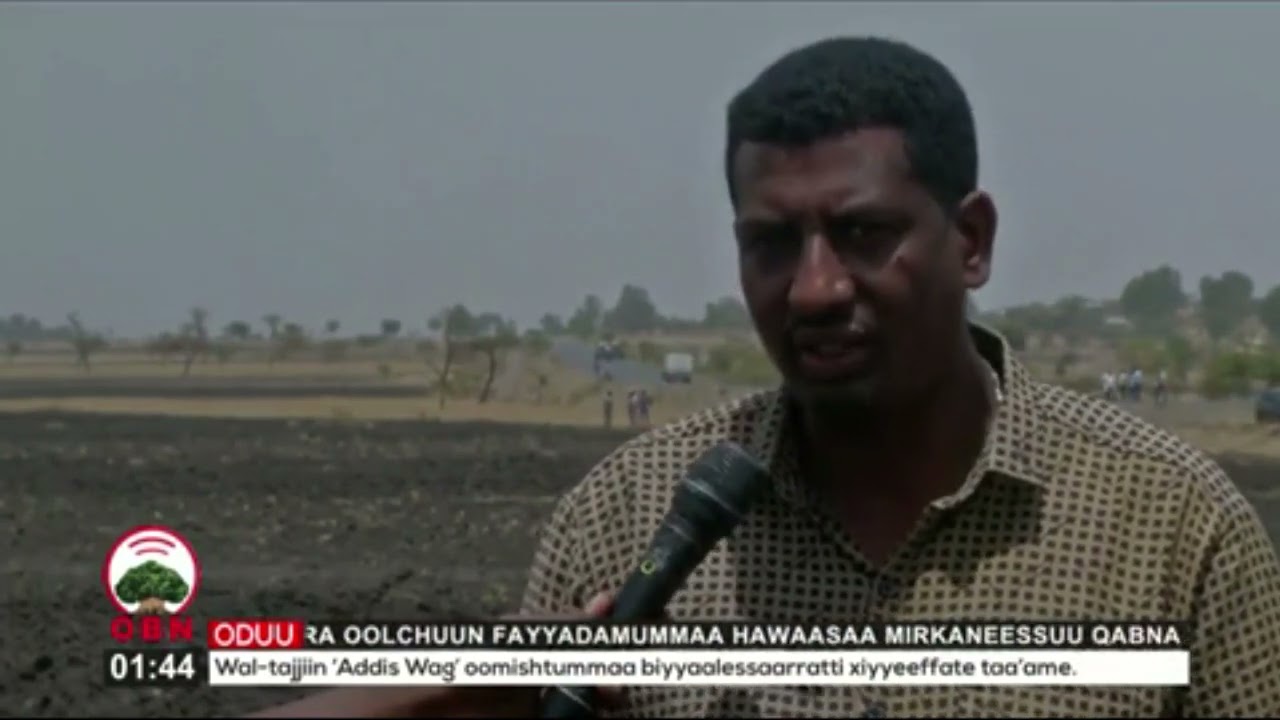 Qonna Gannaa fi Ashaaraa Magariisaa