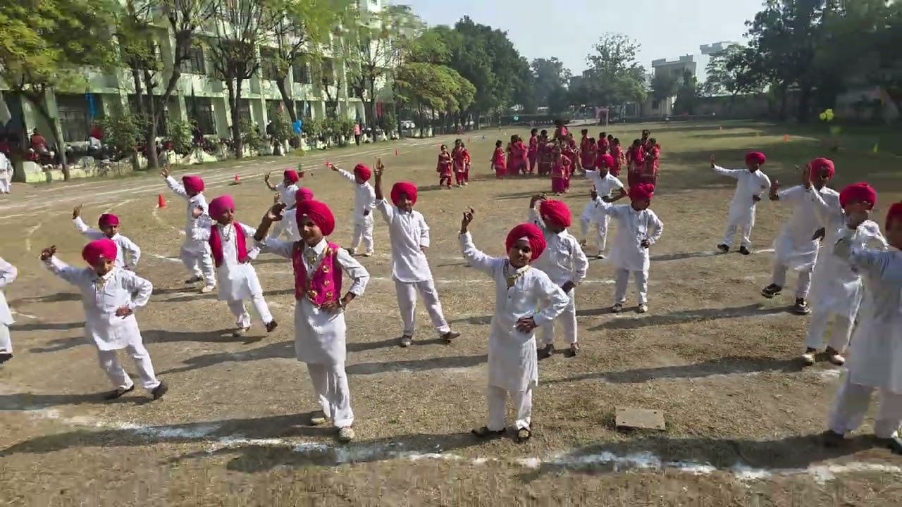 Punjabi dance