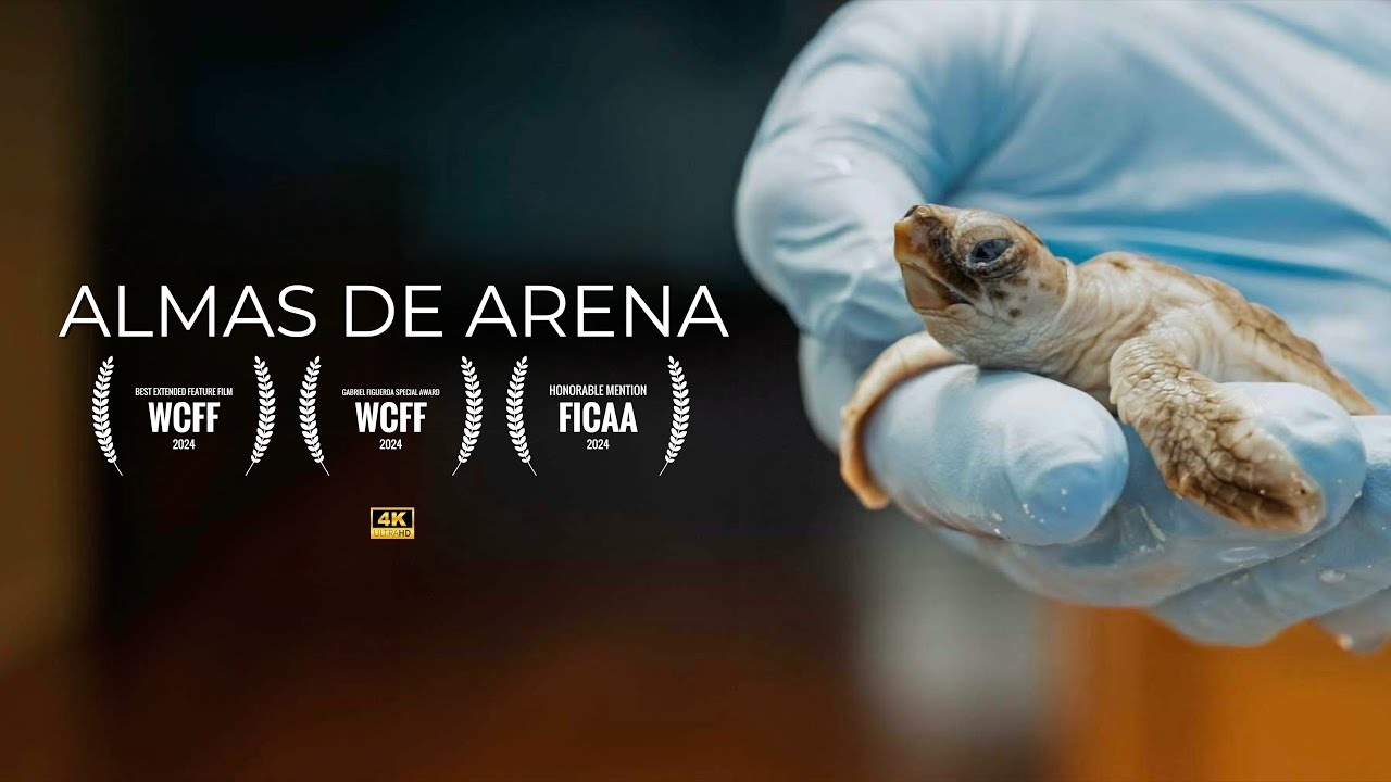 Almas de Arena | 4K Nature Documentary | Subtitled in EN + more