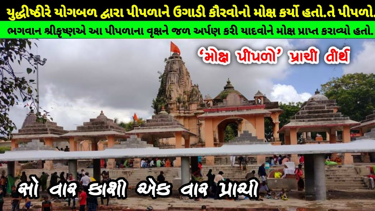 Prachi Tirth: The Holy Place of Moksh Piplo | પ્રાચી તીર્થ પીતૃકાર્ય માટે જાણીતુ સ્થળ.Madhavray