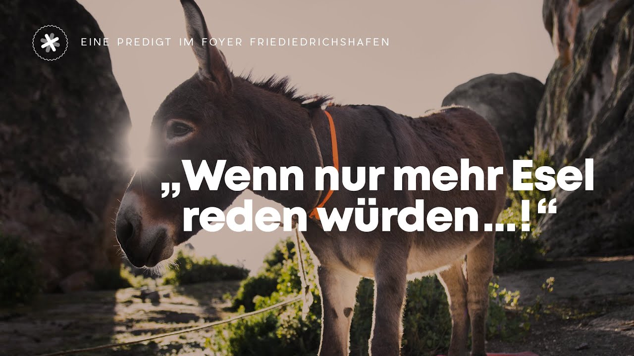 WENN NUR MEHR ESEL REDEN WÜRDEN || Jürgen Opitz || FOYER FN