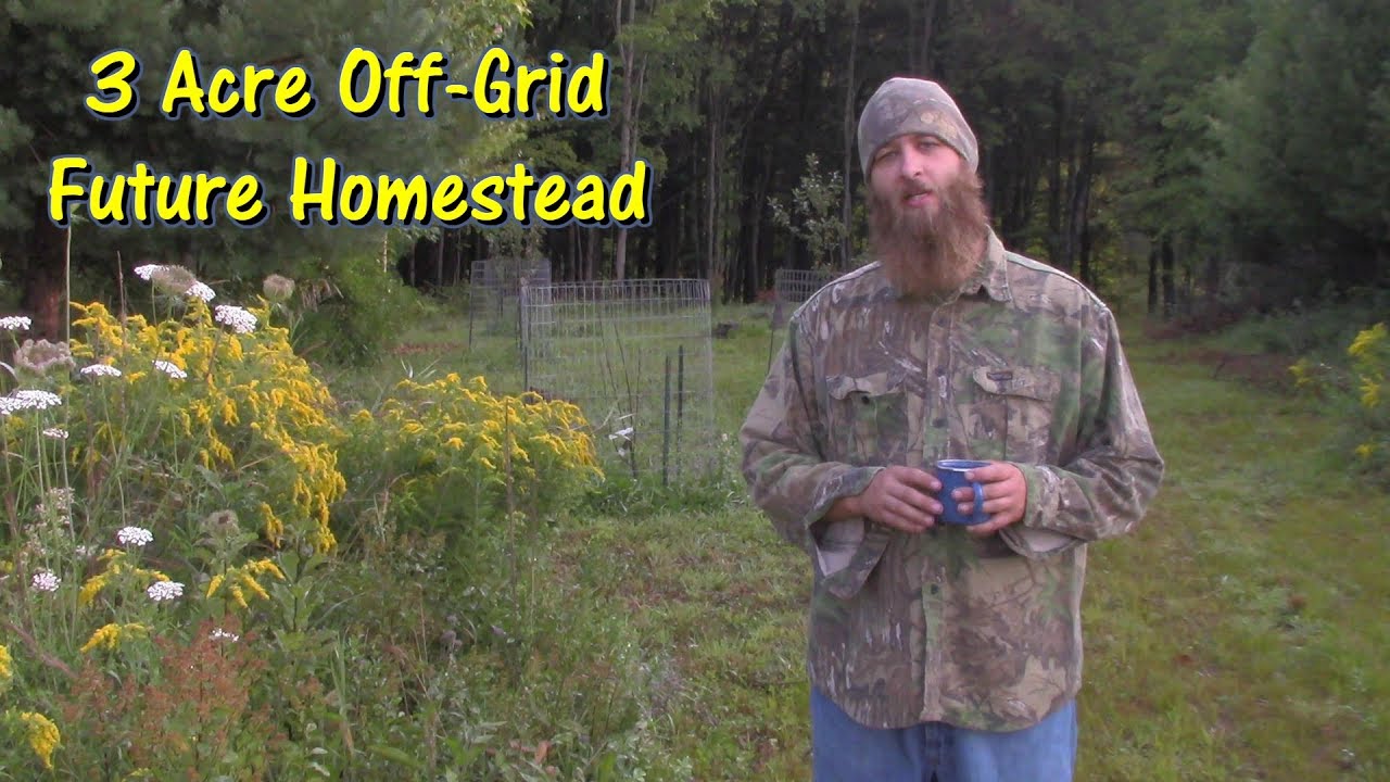 Tour of Our 3 Acre Future Homestead by @GettinJunkDone