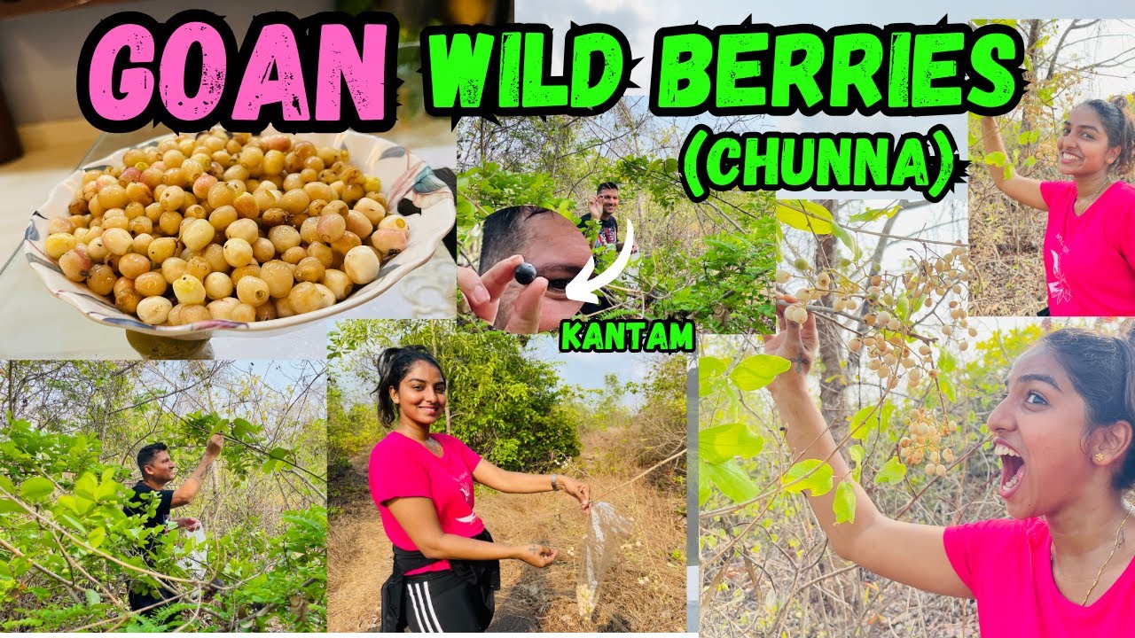 Goan Wild Berries (CHUNNA)