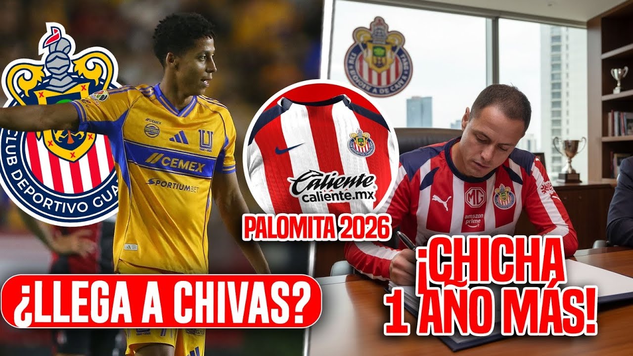 LO CONFIRMAN! Ozziel Herrera a Chivas? LA REALIDAD! | Chicharito UN AÑO MAS? | Noticias Chivas 