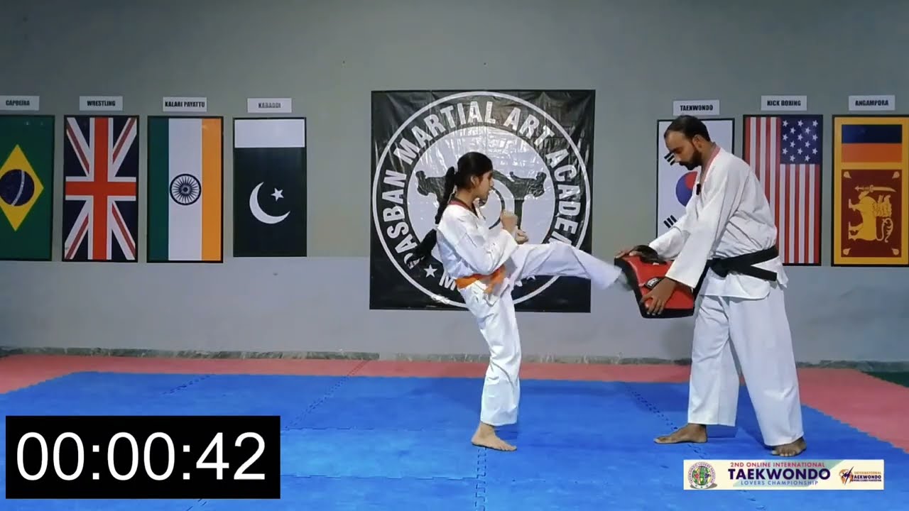 Taekwondo Kicks Training - Taekwondo speed Kicking -